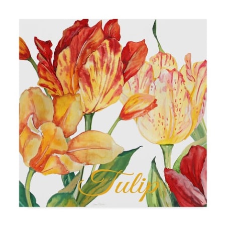 Jean Plout 'Tulip Red Orange' Canvas Art,35x35
